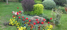 GARDEN & GREEN ROOF