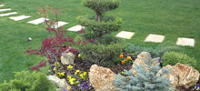 Garden and Green Roof